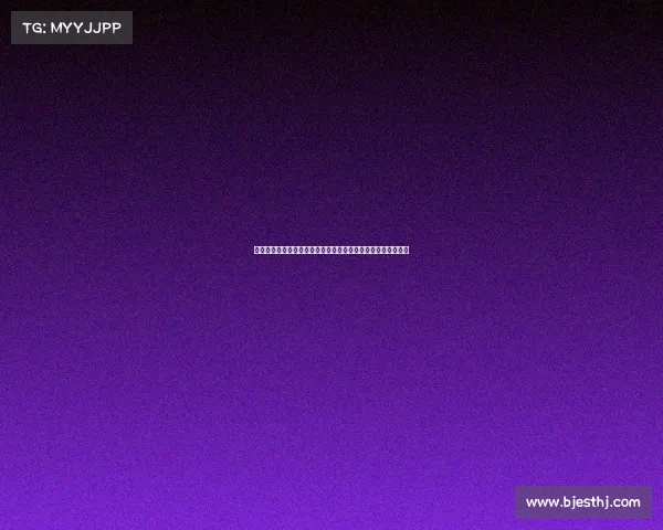 防铁闸建设与管理的创新探索及其在城市交通安全中的应用研究